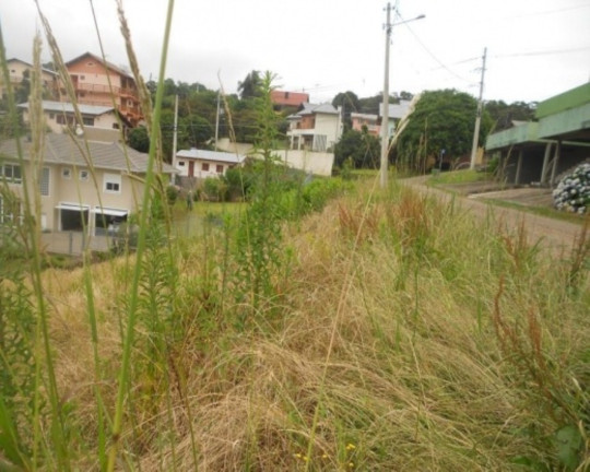 Imagem Terreno à Venda, 450 m² em Juriti - Nova Petrópolis