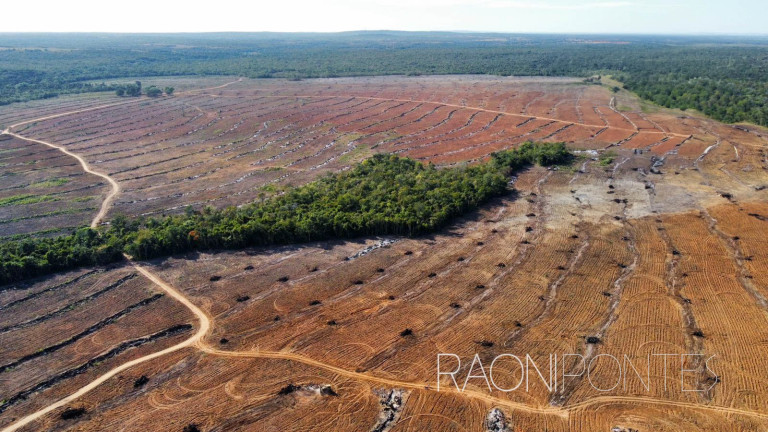 Imagem Fazenda à Venda, 484 m² em Zona Rural - São Valério Da Natividade Imagem Fazenda à Venda, 484 m² em Zona Rural - São Valério Da Natividade