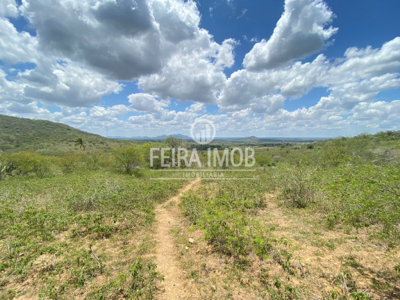 Imagem Fazenda à Venda, 492.228 m² em Ipuaçu / Santa Rosa - Feira De Santana Imagem Fazenda à Venda, 492.228 m² em Ipuaçu / Santa Rosa - Feira De Santana