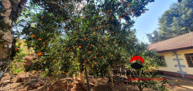 Imagem Chácara com 2 Quartos à Venda, 10 m² em Campos Do Jordão