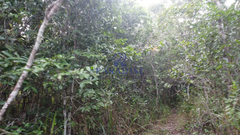 Imagem Fazenda à Venda, 20.000 m² em Barra Do Pojuca - Camaçari Imagem Fazenda à Venda, 20.000 m² em Barra Do Pojuca - Camaçari