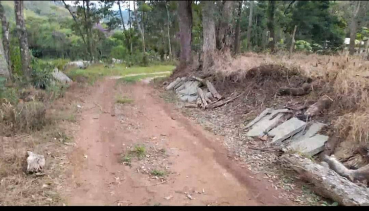 Imagem Chácara com 2 Quartos à Venda, 116 m² em Conselheiro Paulino - Nova Friburgo