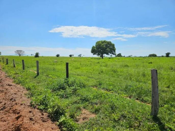 Imagem Fazenda à Venda, 11 m² em Ponte Rio Palmeiral - Mundo Novo Imagem Fazenda à Venda, 11 m² em Ponte Rio Palmeiral - Mundo Novo
