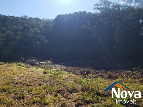 Imagem Imóvel à Venda, 672 m² em Pinhal Alto - Nova Petrópolis