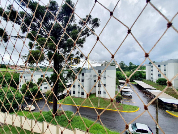 Imagem Apartamento com 2 Quartos à Venda, 48 m² em Jardim Paraíso - Botucatu Imagem Apartamento com 2 Quartos à Venda, 48 m² em Jardim Paraíso - Botucatu