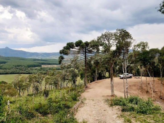 Imóvel à Venda, 28.900 m² em Zona Rural - Bom Retiro