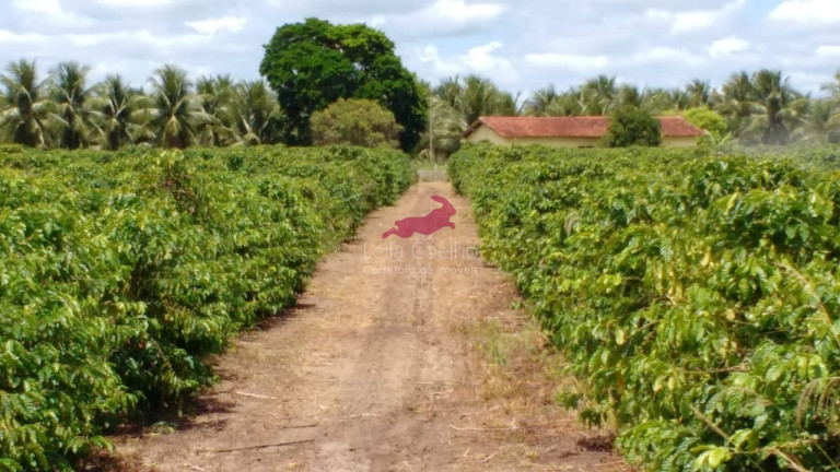 Imagem Fazenda à Venda, 600 m² em Caraíva - Porto Seguro Imagem Fazenda à Venda, 600 m² em Caraíva - Porto Seguro