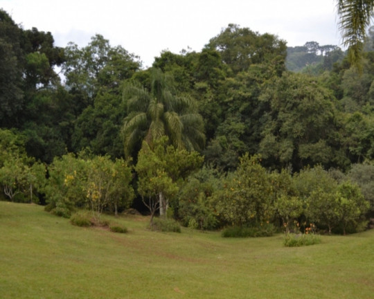 Imagem Imóvel com 3 Quartos à Venda,  em Vale Verde - Nova Petrópolis