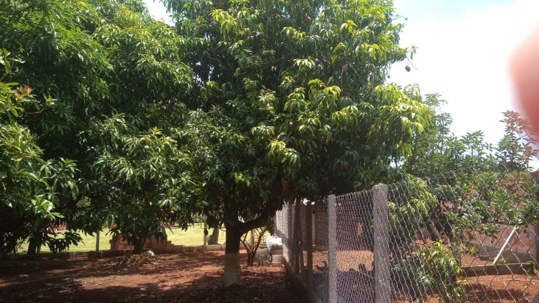 Imagem Casa com 7 Quartos à Venda, 500 m² em Centro - Boituva