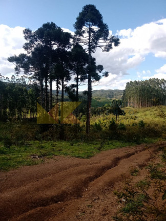 Imagem Fazenda à Venda, 59.000 m² em Alto Cedros - Rio Dos Cedros