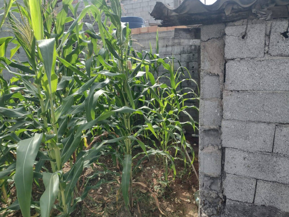 Imagem Terreno à Venda, 120 m² em Jardim Itapuã - Itaquaquecetuba