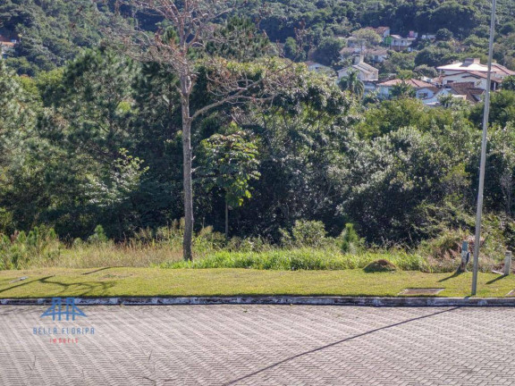Imagem Terreno à Venda, 638 m² em Itacorubi - Florianópolis
