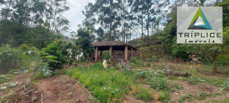 Imagem Fazenda à Venda, 1.910.000 m² em Rural - Lima Duarte Imagem Fazenda à Venda, 1.910.000 m² em Rural - Lima Duarte