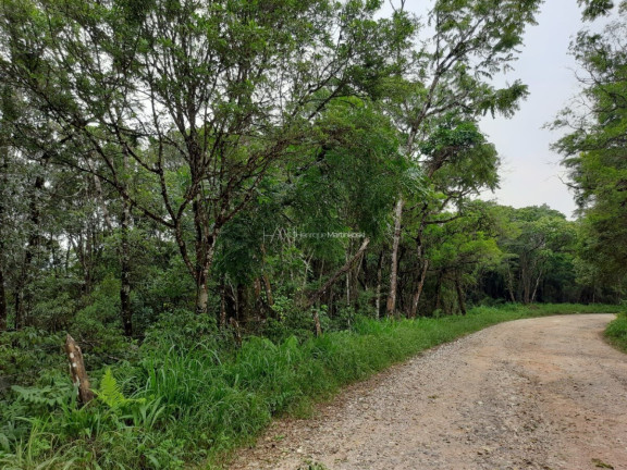 Imagem Fazenda à Venda, 127.997 m² em Pacotuba - Almirante Tamandaré Imagem Fazenda à Venda, 127.997 m² em Pacotuba - Almirante Tamandaré