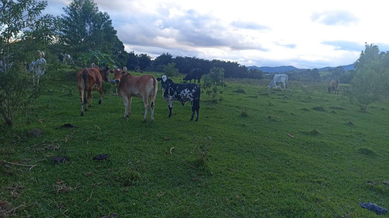 Imagem Fazenda à Venda, 100 m² em Estiva - Taubaté