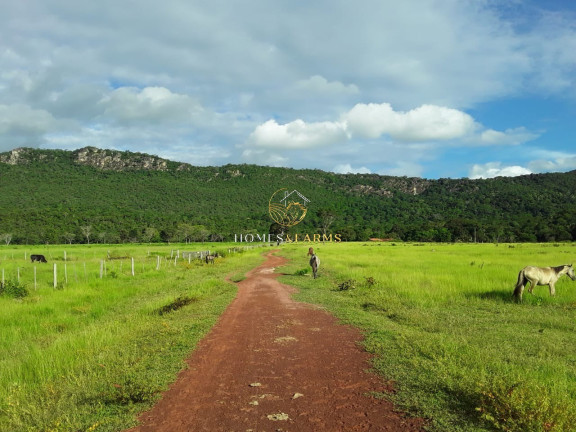 Imagem Imóvel com 3 Quartos à Venda, 2.770 m² em Zona Rural - Barra Do Bugres Imagem Imóvel com 3 Quartos à Venda, 2.770 m² em Zona Rural - Barra Do Bugres