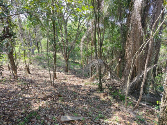 Imagem Chácara à Venda, 1.701 m² em Recanto Das Seriemas - Taubaté Imagem Chácara à Venda, 1.701 m² em Recanto Das Seriemas - Taubaté