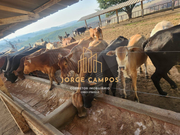 Imagem Fazenda à Venda, 190 m² em área Rural - Minduri Imagem Fazenda à Venda, 190 m² em área Rural - Minduri