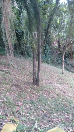 Imagem Terreno à Venda, 2.506 m² em Centro - Florianópolis Imagem Terreno à Venda, 2.506 m² em Centro - Florianópolis