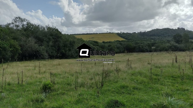 Imóvel à Venda, 120.000 m² em Reserva - Morro Redondo