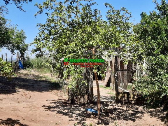 Imagem Chácara à Venda, 20.800 m² em Chácara Marambaia - Caçapava Imagem Chácara à Venda, 20.800 m² em Chácara Marambaia - Caçapava