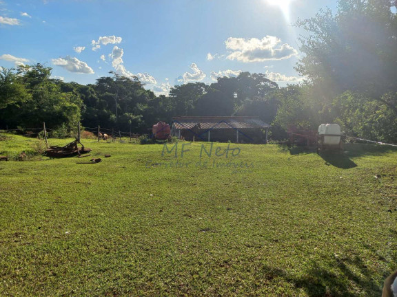 Imagem Fazenda à Venda, 65.340 m² em Bonfim - Pirassununga