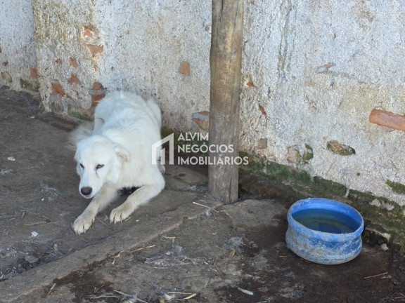 Imagem Chácara com 3 Quartos à Venda, 53.000 m² em Estrada Jardim - Itanhandu