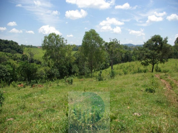 Imagem Imóvel com 4 Quartos à Venda, 1.694.000 m² em Zona Rural - Jacui