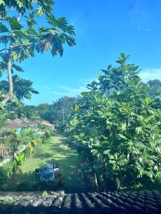 Imagem Casa com 3 Quartos à Venda, 5.000 m² em Praia De Maresias - São Sebastião