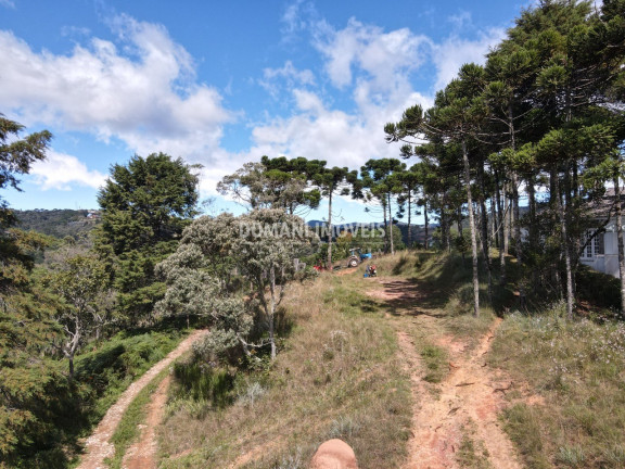 Terreno à Venda, 2.420 m² em Região De Descansópolis - Campos Do Jordão