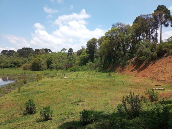 Chácara à Venda,  em Centro - Mandirituba