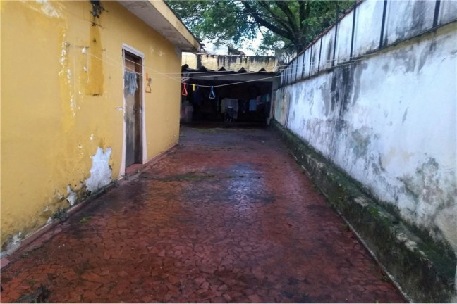Imagem Casa com 5 Quartos à Venda,  em Vila São José - São Paulo