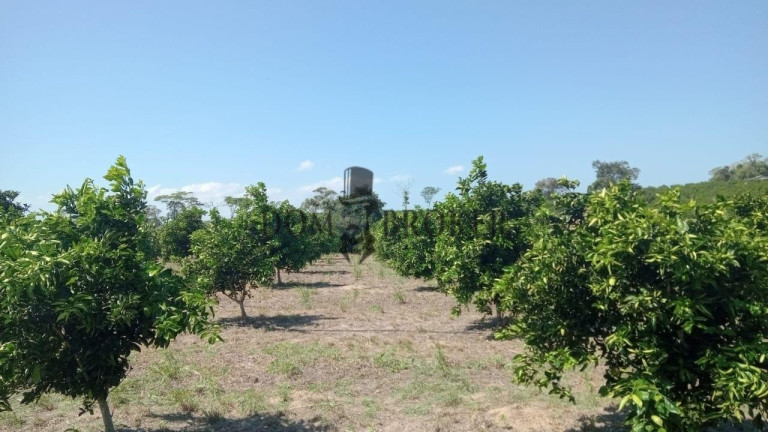 Imagem Fazenda à Venda, 555.000 m² em Sao Vicente - Araruama Imagem Fazenda à Venda, 555.000 m² em Sao Vicente - Araruama