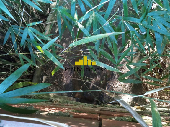 Imagem Chácara à Venda, 1 m² em Rural - Capela Do Alto