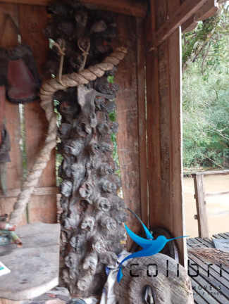 Imagem Chácara com 2 Quartos à Venda, 5.300 m² em Rio Da Várzea - Agudos Do Sul