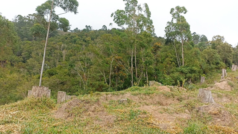 Imagem Fazenda à Venda, 500 m² em Centro - Salesópolis Imagem Fazenda à Venda, 500 m² em Centro - Salesópolis