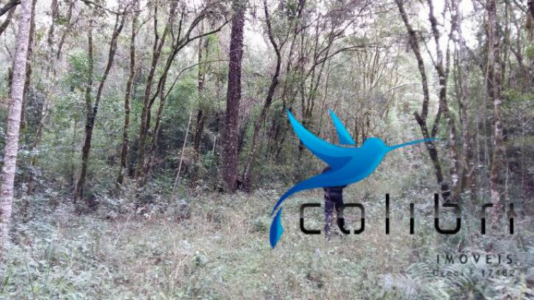Imagem Chácara à Venda, 51.425 m² em Ribeirãozinho - Agudos Do Sul Imagem Chácara à Venda, 51.425 m² em Ribeirãozinho - Agudos Do Sul