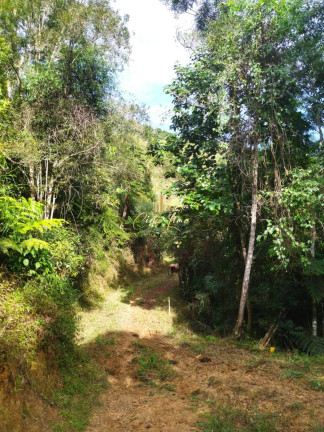 Imagem Chácara à Venda, 6.000.000 m² em São Pedro De Alcântara Imagem Chácara à Venda, 6.000.000 m² em São Pedro De Alcântara