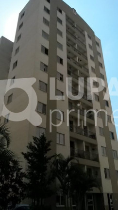 Apartamento com 3 Quartos à Venda, 64 m² em Vila Guilherme - São Paulo