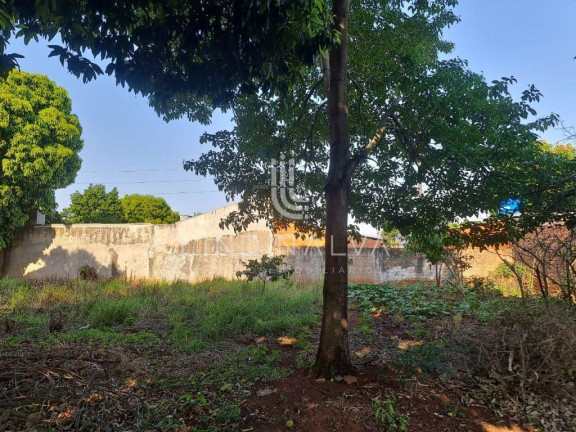 Imagem Terreno à Venda, 318 m² em Jardim São Paulo - Foz Do Iguacu Imagem Terreno à Venda, 318 m² em Jardim São Paulo - Foz Do Iguacu