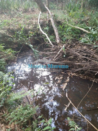 Imagem Imóvel à Venda, 1 m² em Zona Rural - Borda Da Mata Imagem Imóvel à Venda, 1 m² em Zona Rural - Borda Da Mata