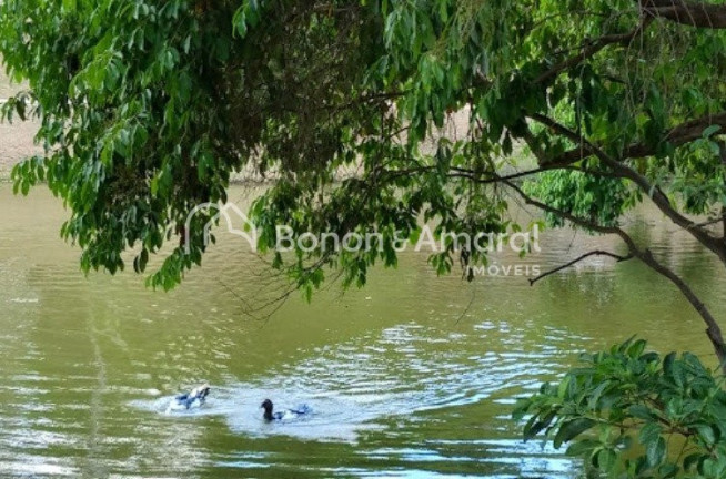 Imagem Terreno à Venda, em Vila Monte Alegre - Paulínia Imagem Terreno à Venda, em Vila Monte Alegre - Paulínia