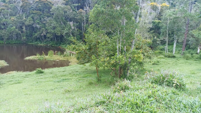 Fazenda à Venda, 500 m² em Centro - Salesópolis