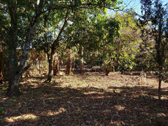 Imagem Fazenda à Venda, 1.782 m² em Vila Santa Fé - Pirassununga Imagem Fazenda à Venda, 1.782 m² em Vila Santa Fé - Pirassununga