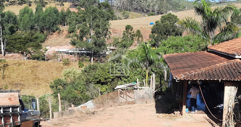 Imagem Imóvel com 2 Quartos à Venda, 20.000 m² em Jardim Itamarati - Bandeira Do Sul Imagem Imóvel com 2 Quartos à Venda, 20.000 m² em Jardim Itamarati - Bandeira Do Sul