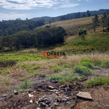 Imagem Terreno à Venda, 1.000 m² em Planalto Do Cocais - Ibiúna