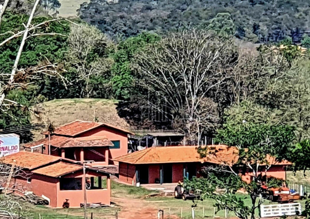 Imovel