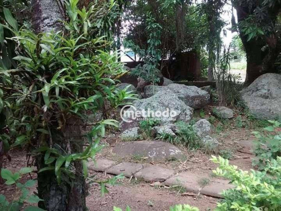 Imagem Chácara com 1 Quarto à Venda, 240 m² em Parque Rural Fazenda Santa Cândida - Campinas Imagem Chácara com 1 Quarto à Venda, 240 m² em Parque Rural Fazenda Santa Cândida - Campinas