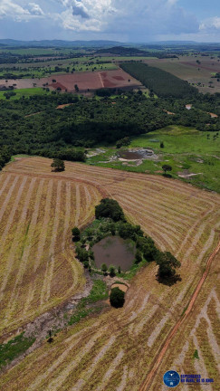 Imagem Fazenda à Venda, 30 m² em Zona Rural - Guapó