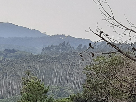 Imagem Fazenda à Venda, 127.997 m² em Pacotuba - Almirante Tamandaré Imagem Fazenda à Venda, 127.997 m² em Pacotuba - Almirante Tamandaré